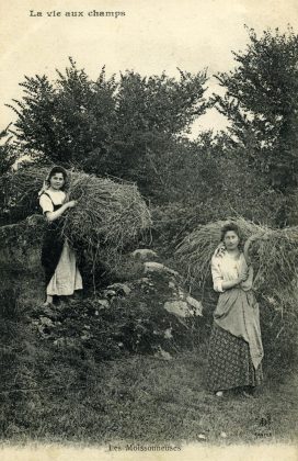 Femmes françaises lors de la fenaison