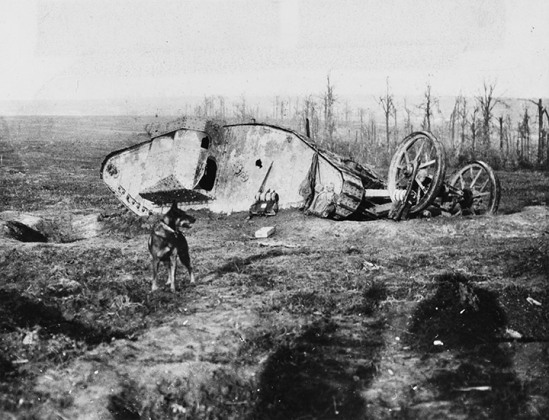 Un char britannique abandonné près du bois des Bouleaux, bataille de la Somme, 16 septembre 1916
