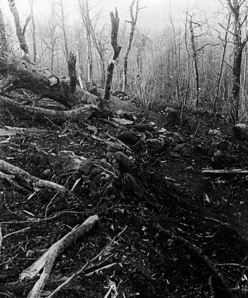 Soldats tombés dans un bois près des Eparges, printemps 1915