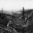 Ce qu’il reste du bois des Caures près du Fort de Douaumont