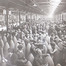 Femmes travaillant dans une usine britannique de munitions