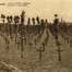 Cimetière militaire allemand à Langemarck, Belgique