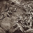 Les troupes autrichiennes escaladent une paroi rocheuse dans le massif de l’Isonzo, 1915.